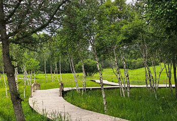 羊肠河湿地第 20 张图片