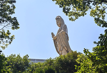普陀山风景区第 160 张图片
