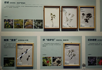 国家自然博物馆第 126 张图片