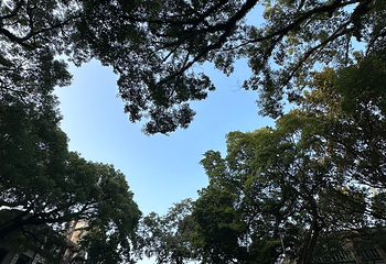 沙面第 52 张图片