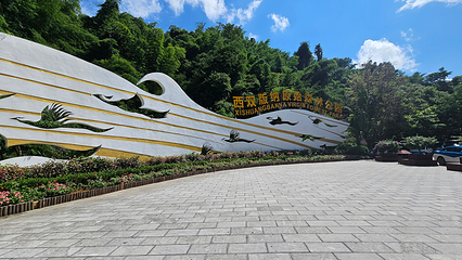 西双版纳原始森林公园第 21 张图片