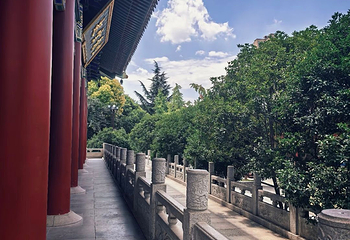 大兴善寺第 62 张图片