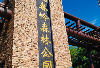 临春岭森林公园第 21 张图片