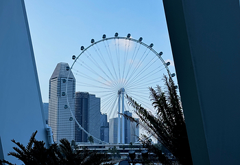 新加坡滨海湾花园第 562 张图片