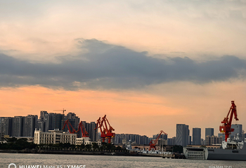 湛江红嘴鸥游船第 32 张图片