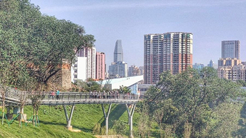 华南国家植物园-空中栈道