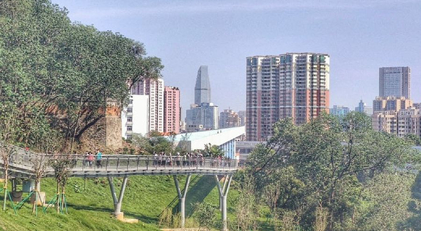 华南国家植物园-空中栈道