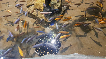 丽水Aqua Planet水族馆第 10 张图片