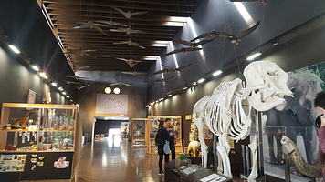 仙台市八木山动物公园