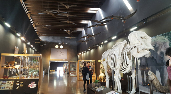 仙台市八木山动物公园