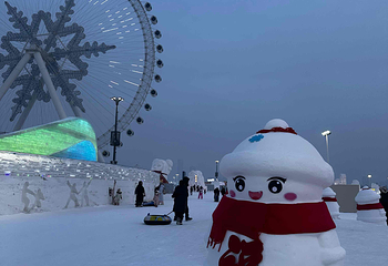 哈尔滨冰雪大世界第 538 张图片