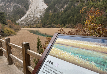 九寨沟风景区第 476 张图片
