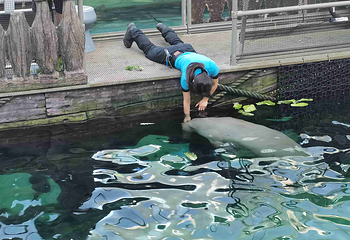 悉尼水族馆第 20 张图片