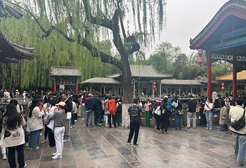 趵突泉景区第 198 张图片