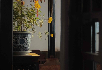 网师园第 93 张图片