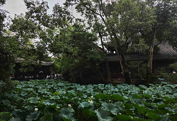 武侯祠第 115 张图片