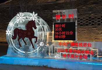 哈尔滨冰雪大世界第 376 张图片