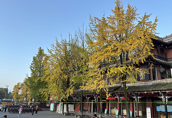 都江堰景区第 67 张图片