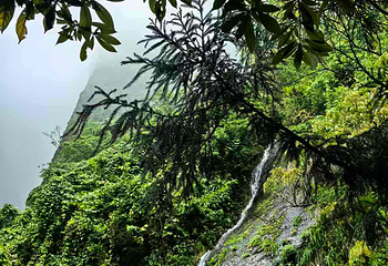 江郎山风景名胜区第 107 张图片