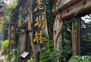 乌镇第 172 张图片