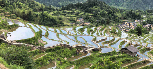 云和梯田景区第 48 张图片