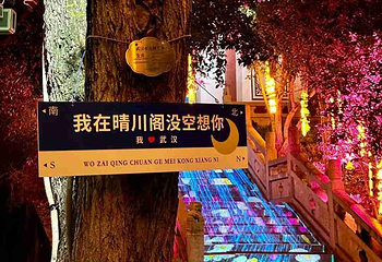 晴川阁第 194 张图片