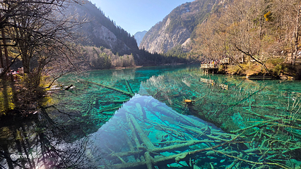 九寨沟风景区第 441 张图片