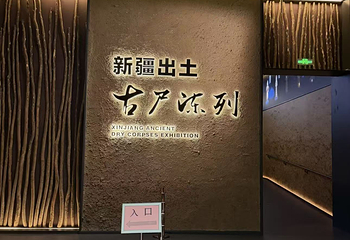 新疆维吾尔自治区博物馆第 24 张图片