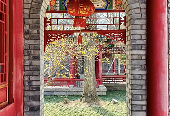 广富林文化遗址第 66 张图片