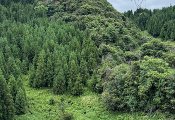 梅花山旅游景区第 55 张图片