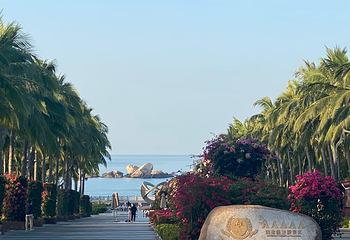 天涯海角第 285 张图片