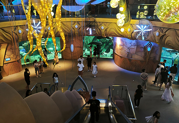 三亚亚特兰蒂斯失落的空间水族馆第 236 张图片