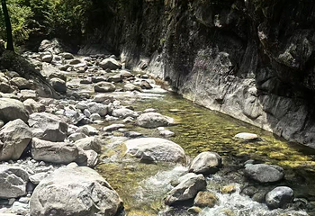 青峰峡森林公园第 20 张图片