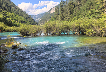 九寨沟风景区第 365 张图片