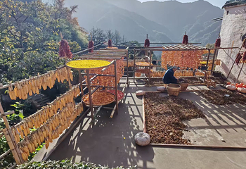 婺源篁岭景区第 377 张图片