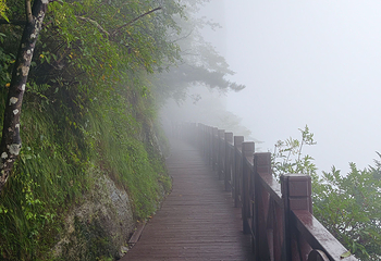 萍乡武功山风景区第 180 张图片