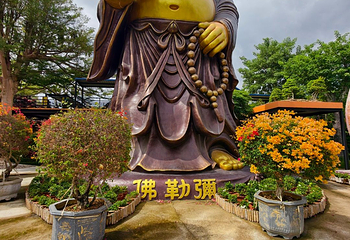东芭乐园第 77 张图片