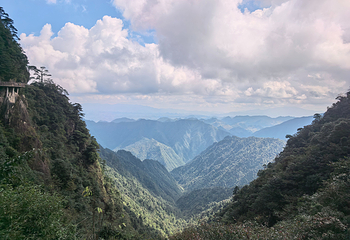 莽山五指峰景区第 59 张图片