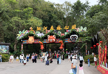 太阳河森林公园第 14 张图片