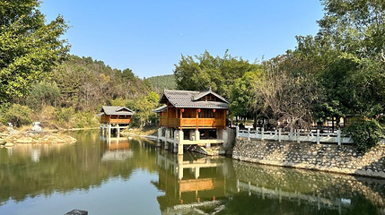 来宾市凤凰山森林公园第 1 张图片