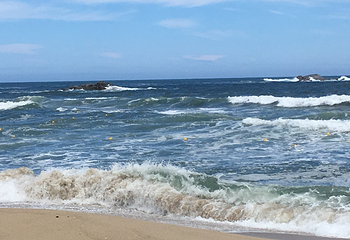镜浦台海水浴场第 12 张图片