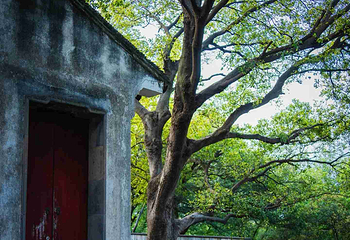 虎丘山风景名胜区第 170 张图片