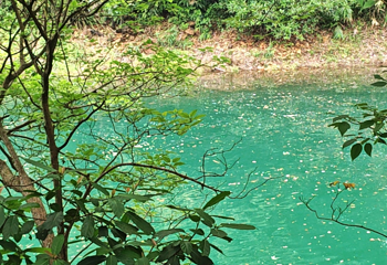 鼎湖山第 23 张图片