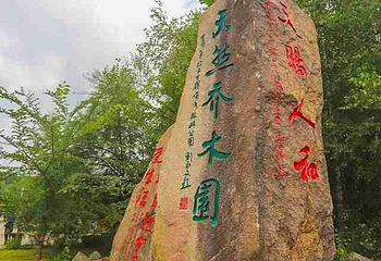 上甘岭溪水国家森林公园第 18 张图片