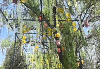 圆明园第 158 张图片