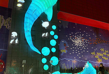 大阪海游馆第 30 张图片
