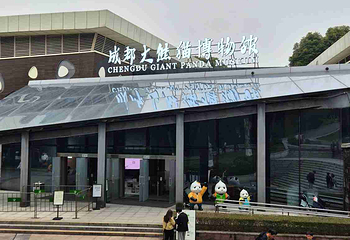 成都大熊猫繁育研究基地第 630 张图片