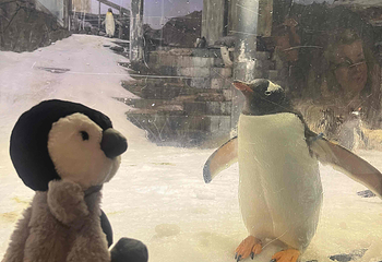 悉尼水族馆第 48 张图片