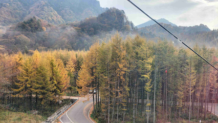 米仓山国家森林公园第 63 张图片