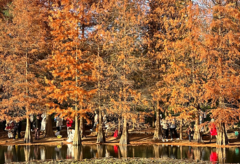 钟山风景名胜区第 57 张图片